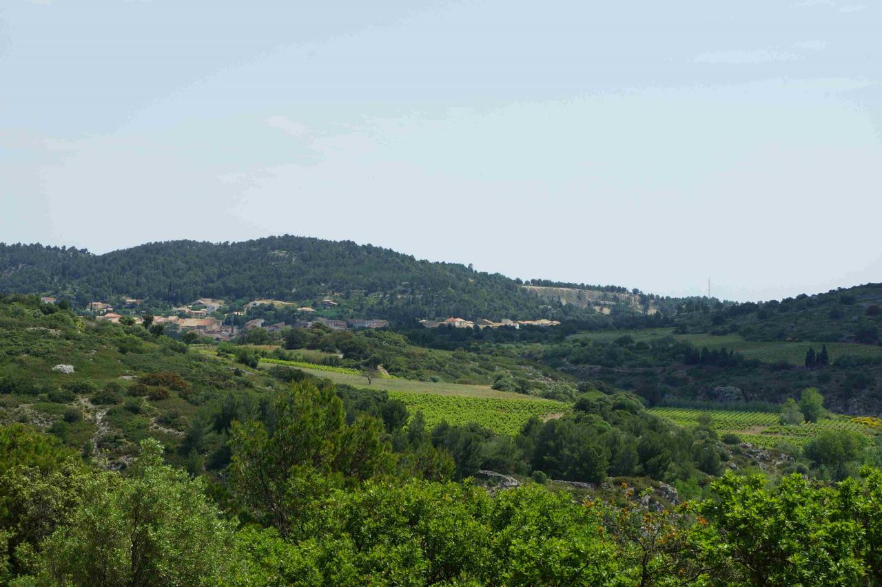 DSC00746