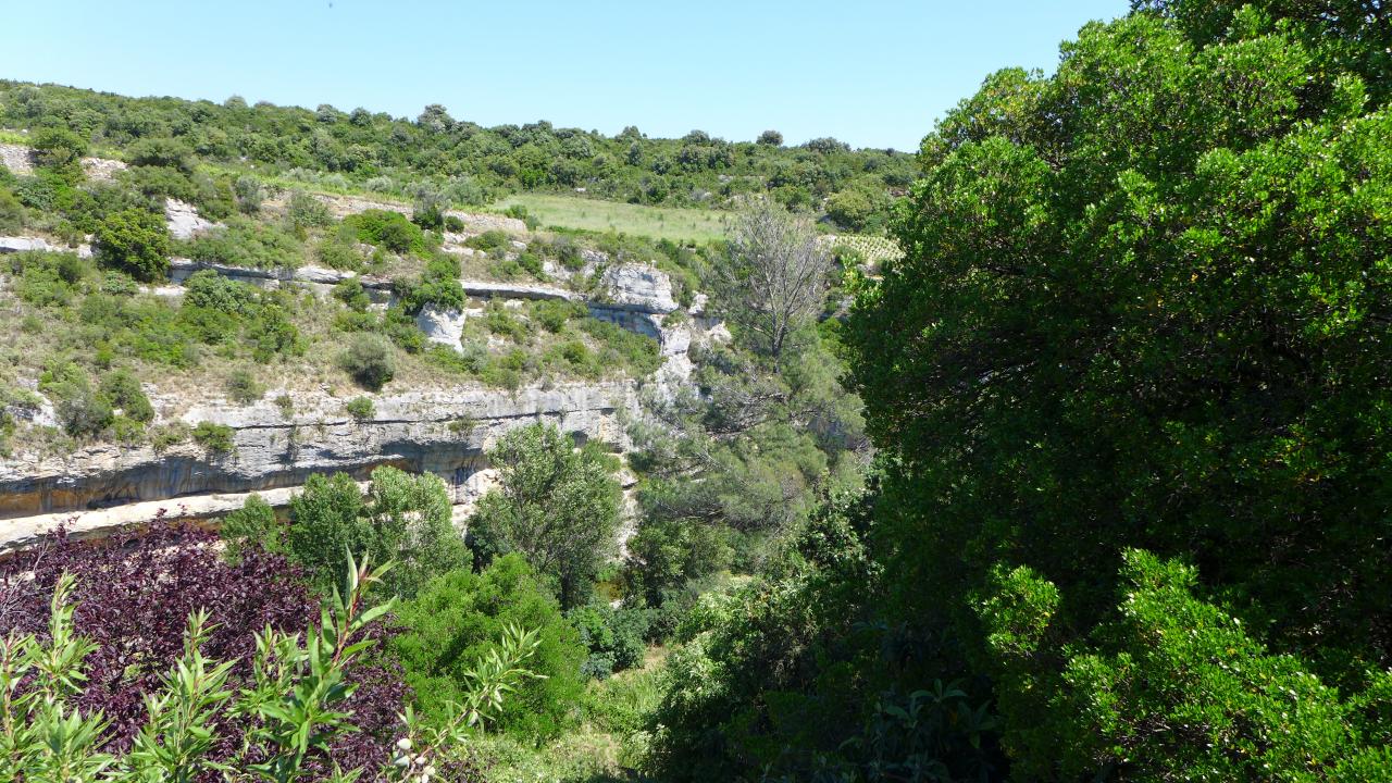 P1080260