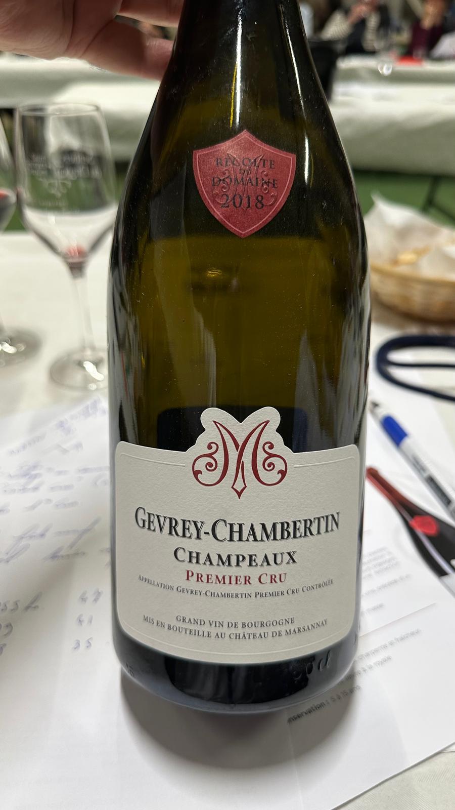Gevrey chambertin 11